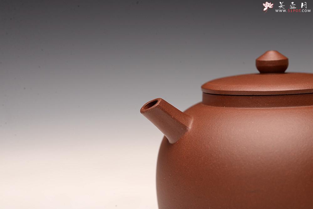 紫砂壶图片：于洪霞丙申秋全手新作 线条简练 饱满精神 明式龙蛋 - 美壶网