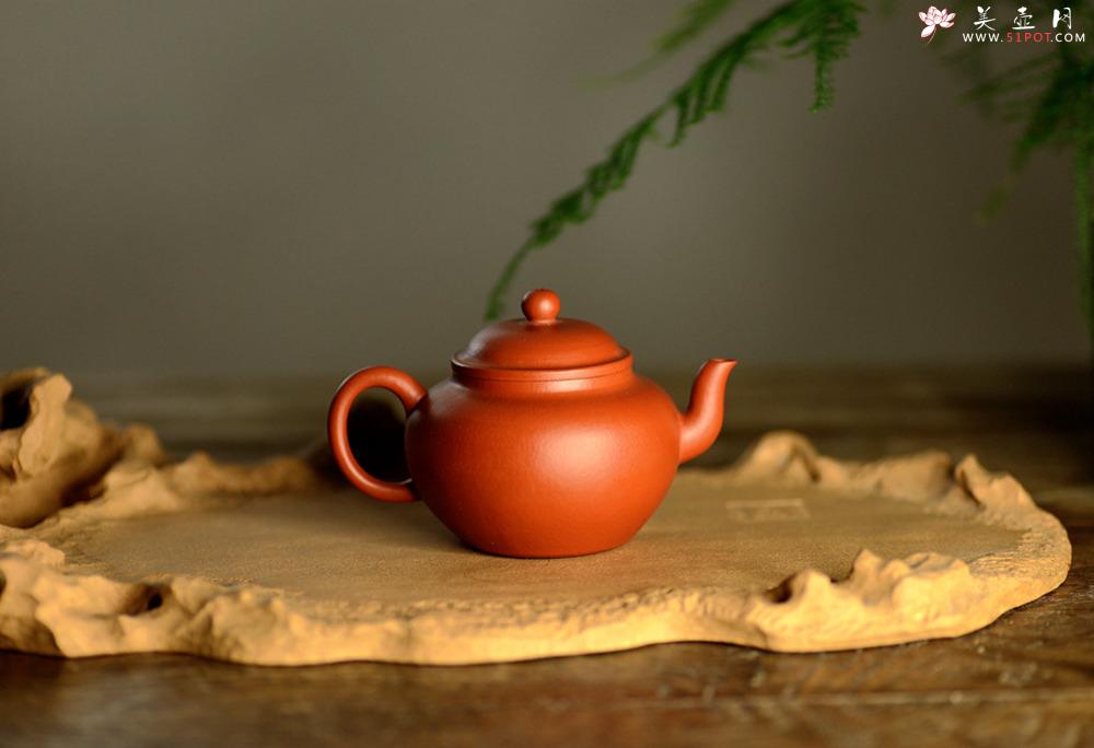 紫砂壶图片：徐亚春丙申秋全手新作 恒圆 敦厚可人 杀茶利器 - 美壶网