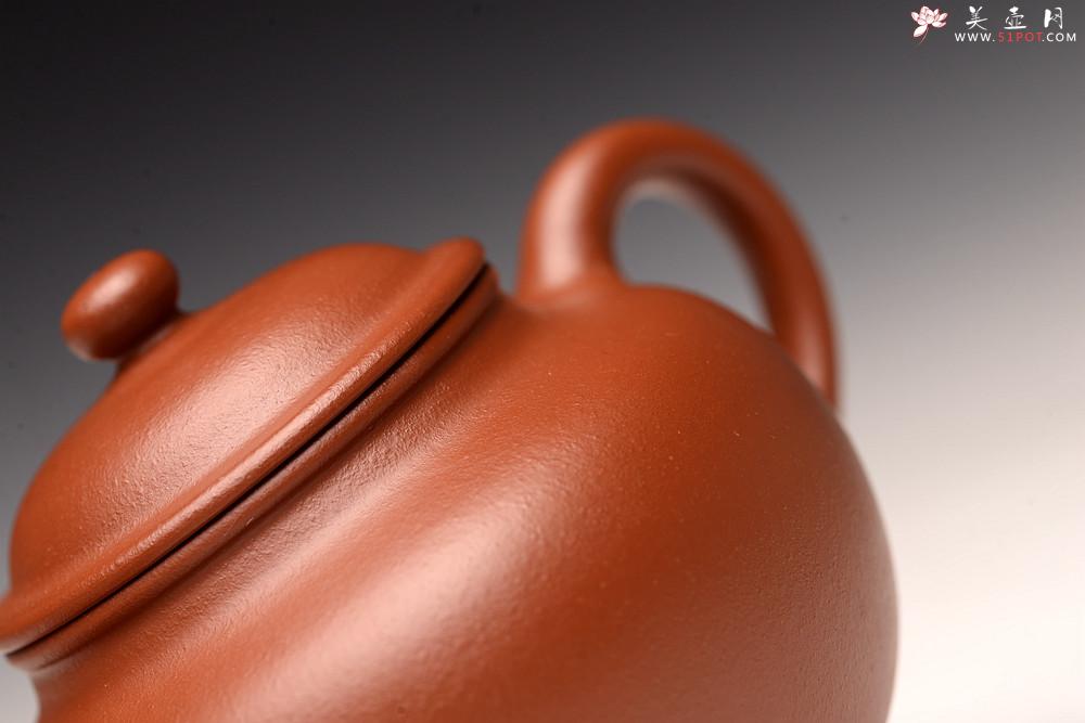 紫砂壶图片：助工唐文之朱泥贡珠 器形可人  - 美壶网