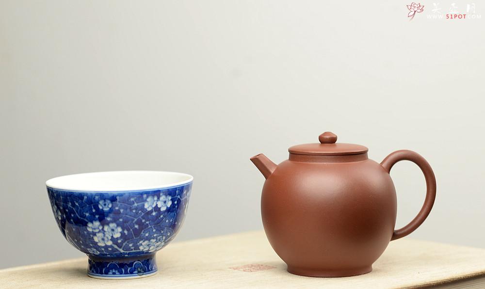 紫砂壶图片：于洪霞丙申秋全手新作 线条简练 饱满精神 明式龙蛋 - 美壶网