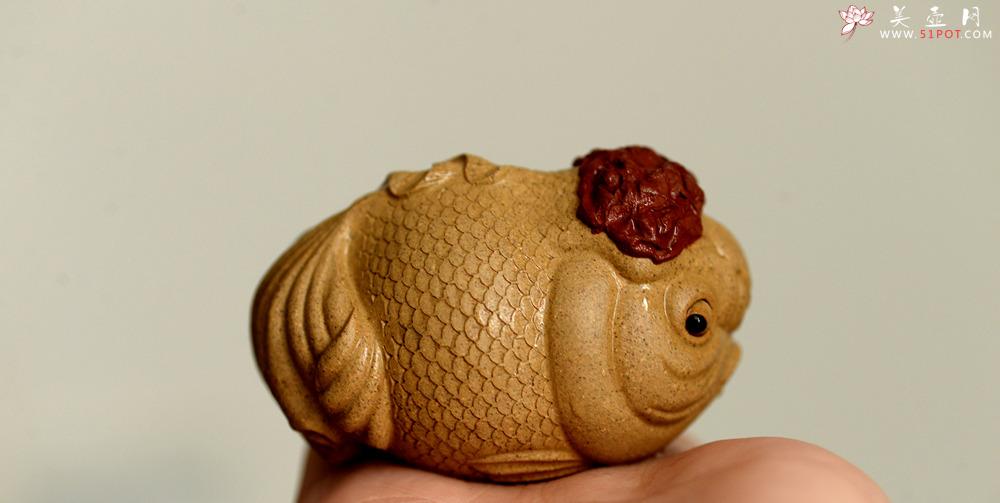 紫砂壶图片： 茶盘尤物  做工精细 生动传神 寓意吉祥之鸿运当头 - 美壶网