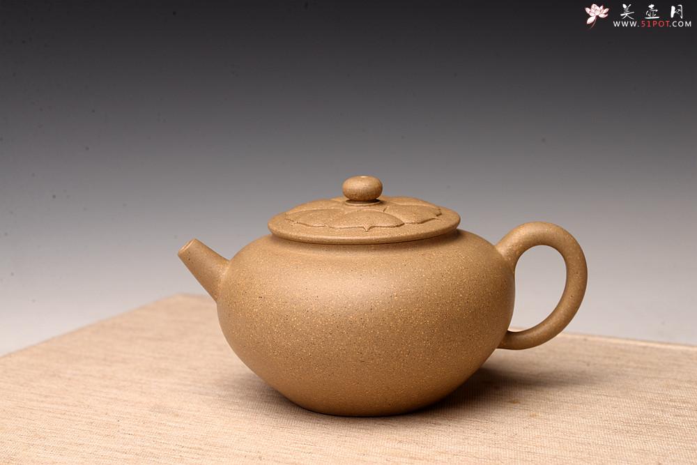 紫砂壶图片：储亚丙申秋全手新作 莲意 盖面花瓣亦全手贴制 大口实用 - 美壶网