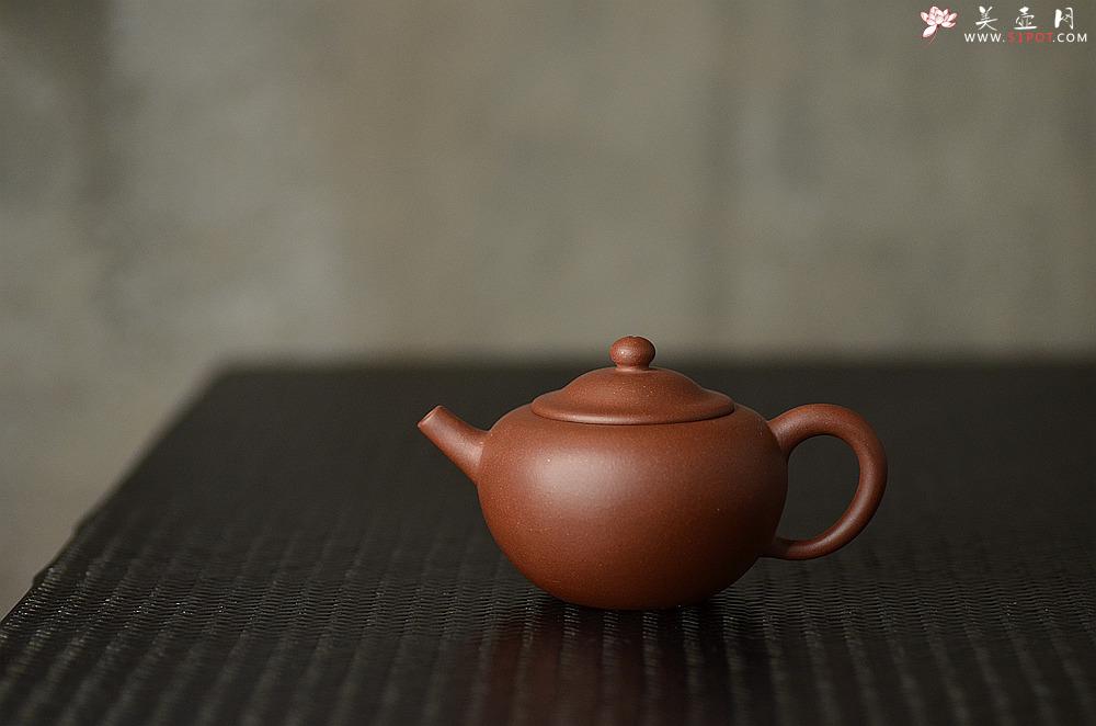 紫砂壶图片：美壶特惠 耐品实用 笠帽  茶人最爱 - 美壶网