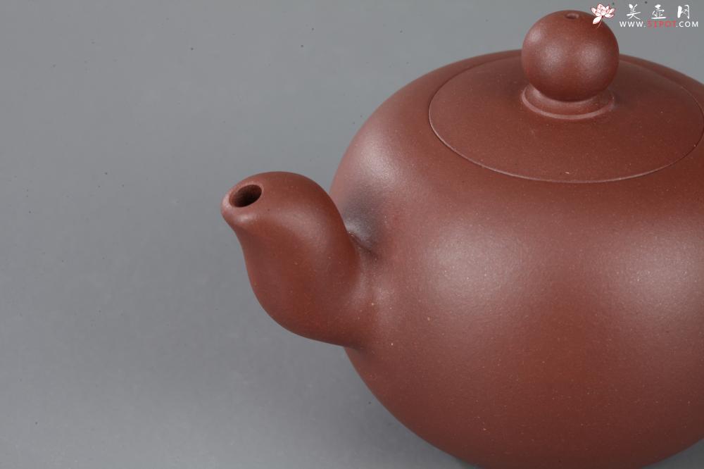 紫砂壶图片：美壶特惠 一粒珠 - 美壶网