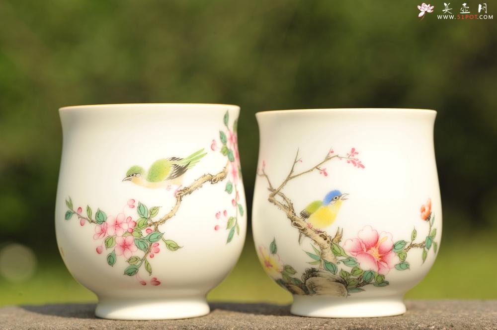 紫砂壶图片：新彩玉光白釉花鸟1 景德镇主人杯 - 美壶网