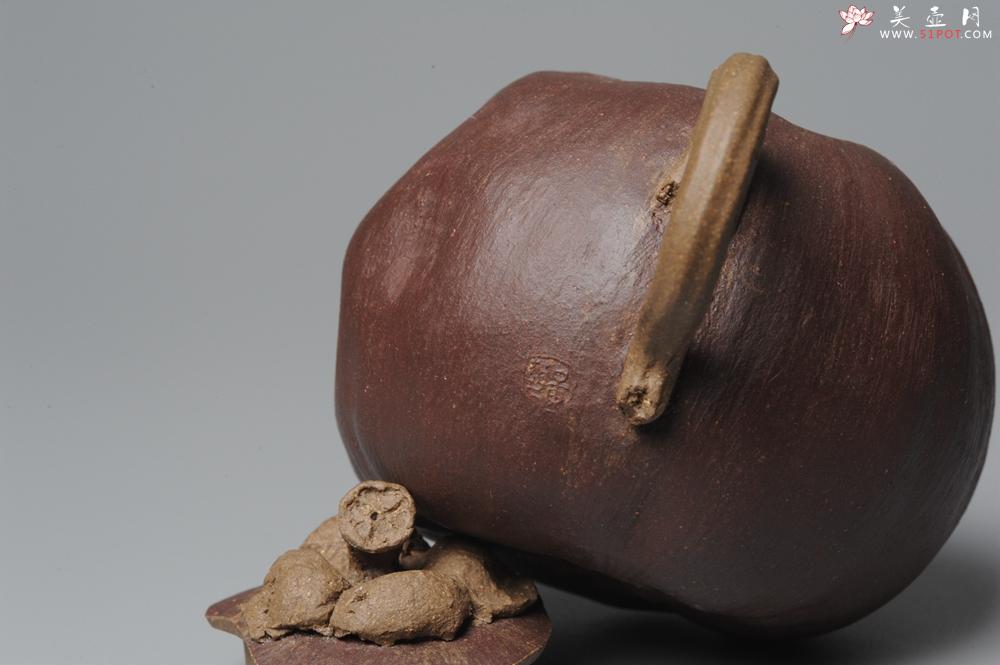 紫砂壶图片：全手工仿生花货 山竹 - 美壶网