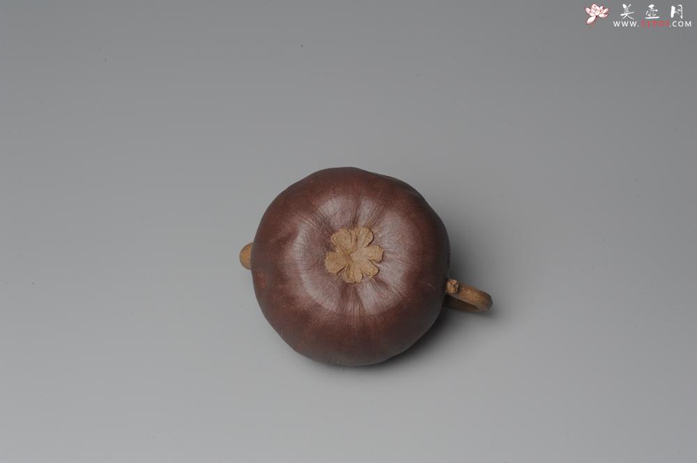 紫砂壶图片：全手工仿生花货 山竹 - 美壶网