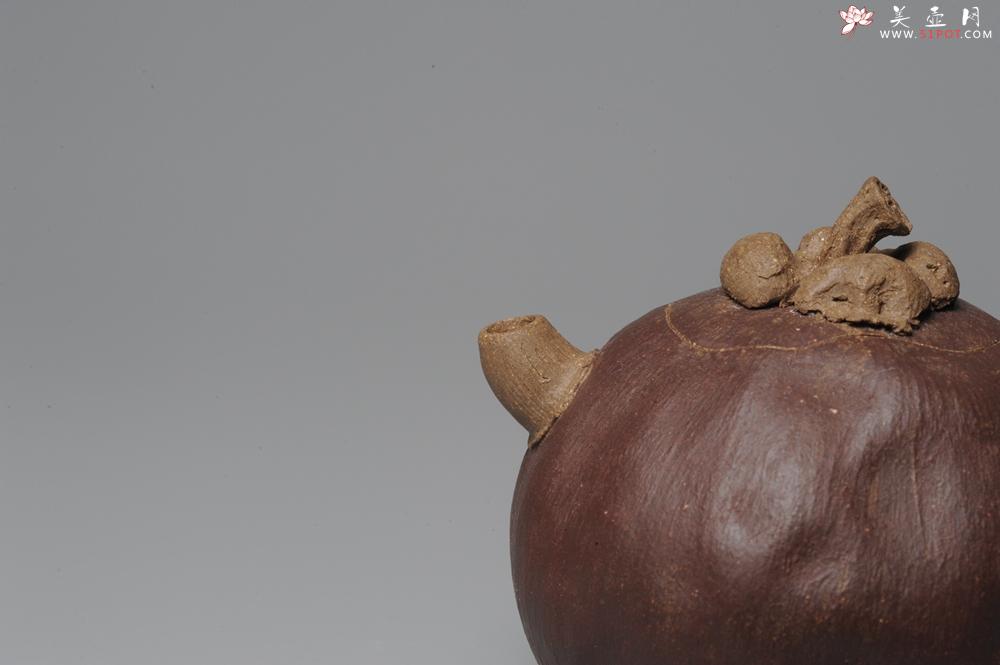 紫砂壶图片：全手工仿生花货 山竹 - 美壶网