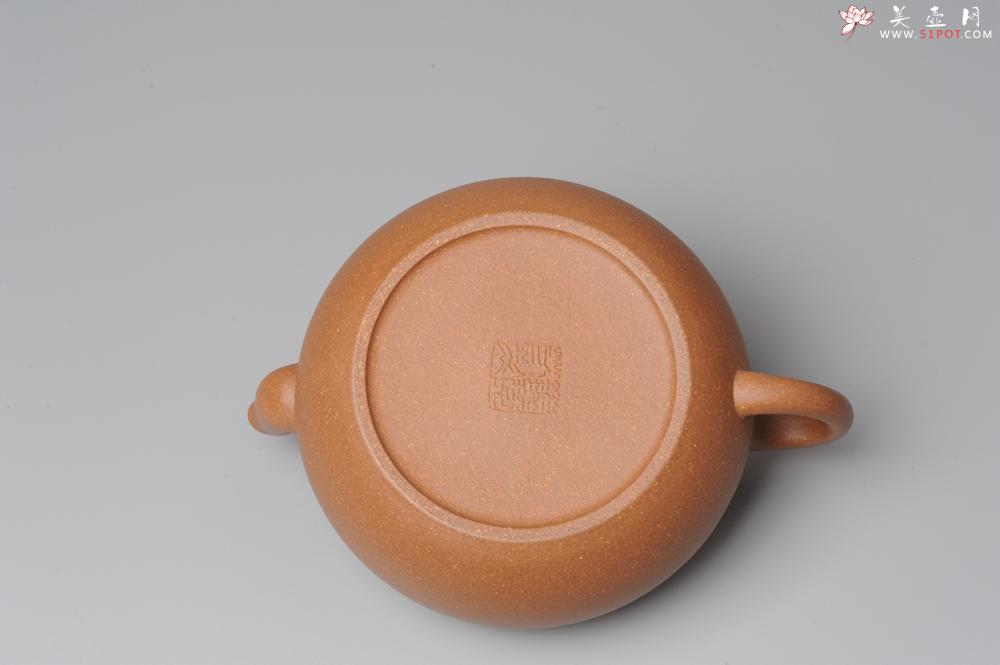 紫砂壶图片：全手工新作柿花 桂花泥 大口实用 - 美壶网
