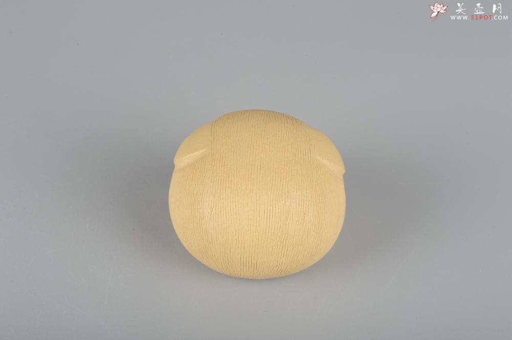 紫砂壶图片：美宠特惠拉毛小猪茶宠摆件 随机发一只 - 美壶网