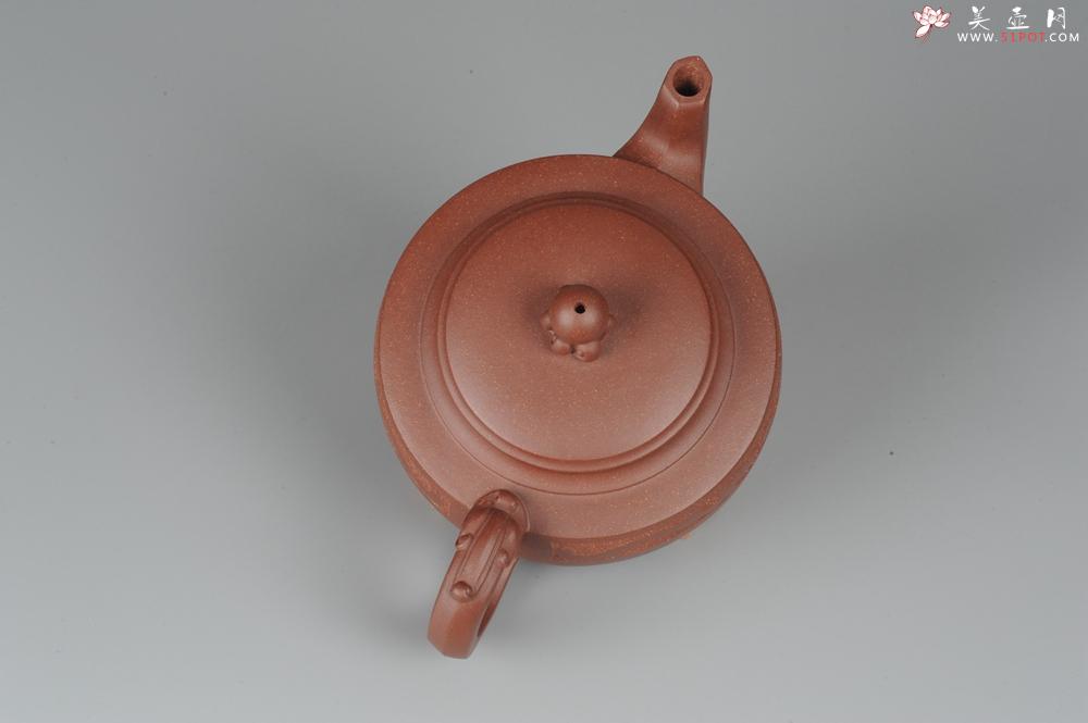 紫砂壶图片：美壶特惠 双龙戏珠 - 美壶网