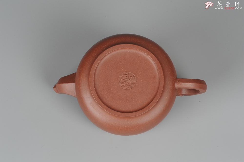 紫砂壶图片：美壶特惠 双龙戏珠 - 美壶网