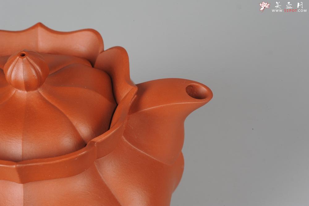 紫砂壶图片：优质小红泥莲花僧帽 线条干净利落 - 美壶网