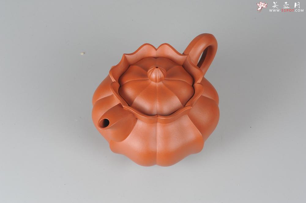 紫砂壶图片：优质小红泥莲花僧帽 线条干净利落 - 美壶网