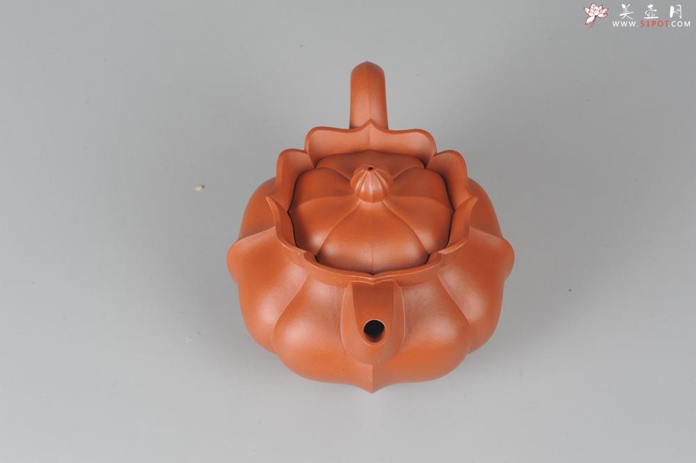 紫砂壶图片：优质小红泥莲花僧帽 线条干净利落 - 美壶网