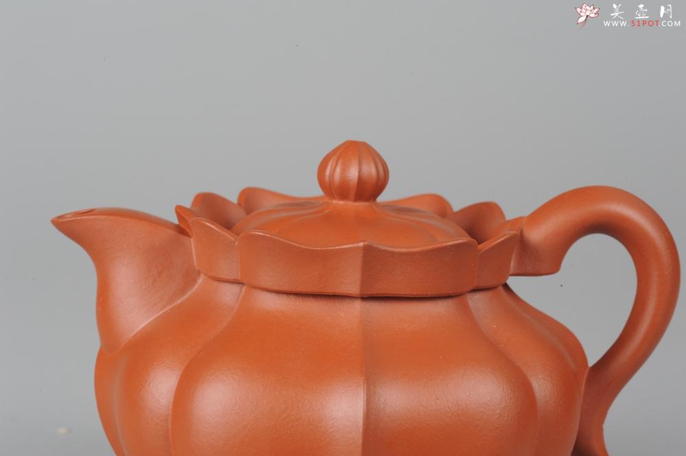 紫砂壶图片：优质小红泥莲花僧帽 线条干净利落 - 美壶网