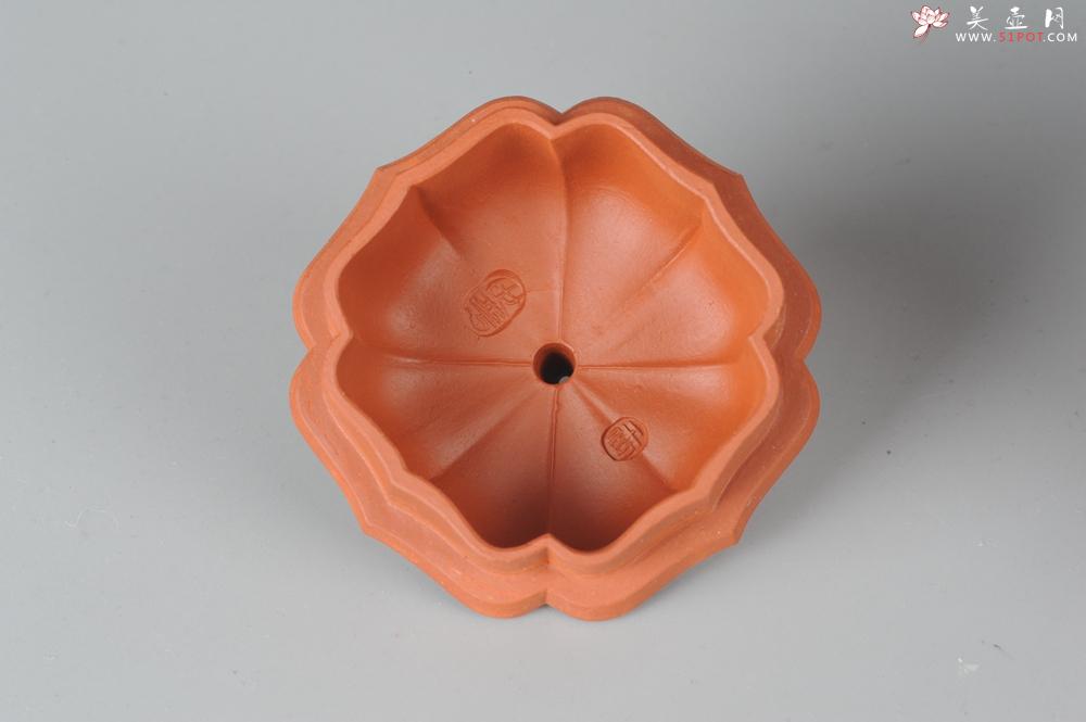 紫砂壶图片：优质小红泥莲花僧帽 线条干净利落 - 美壶网