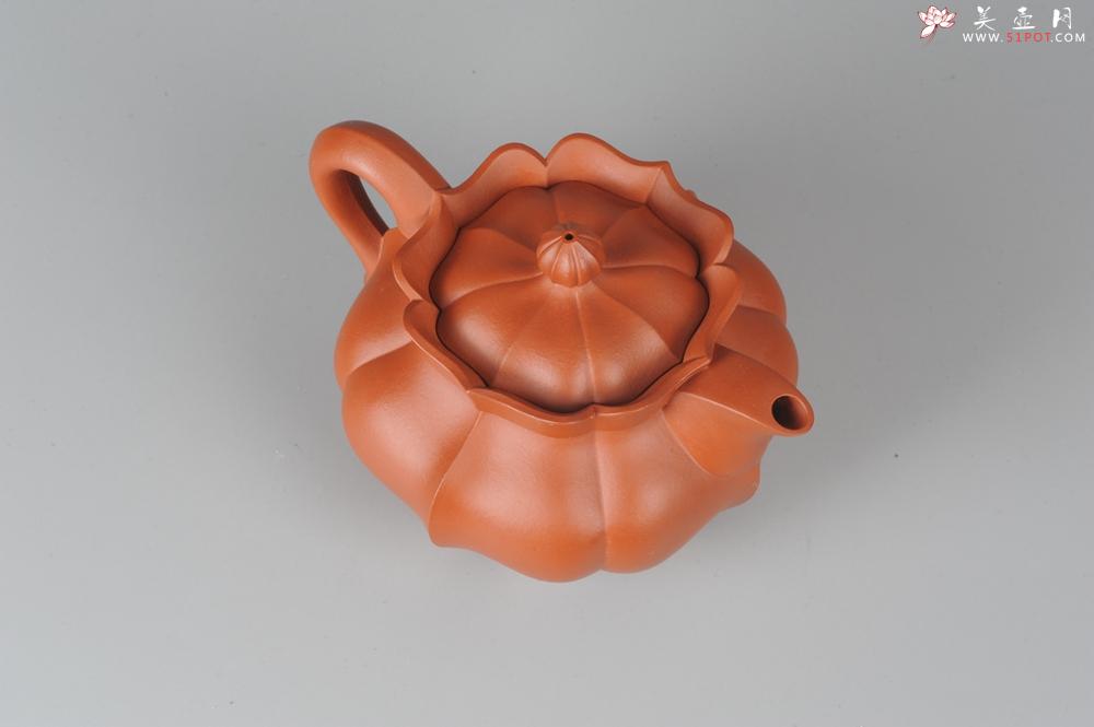 紫砂壶图片：优质小红泥莲花僧帽 线条干净利落 - 美壶网