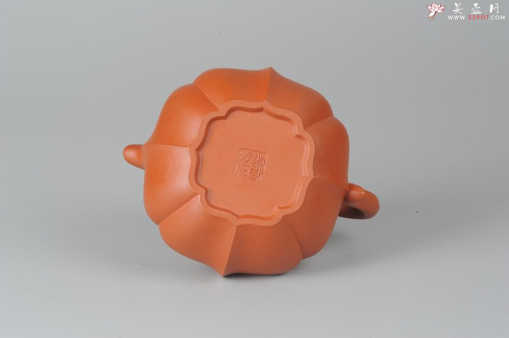 紫砂壶图片：优质小红泥莲花僧帽 线条干净利落 - 美壶网