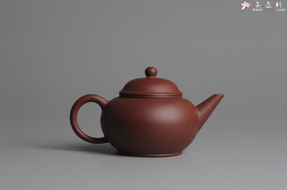 紫砂壶图片：美壶特惠 水平壶 - 美壶网