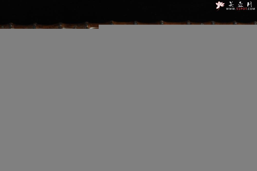 紫砂壶图片：美壶特惠 优质降坡泥龙凤呈祥 寓意吉祥 嵌盖难度大 - 美壶网