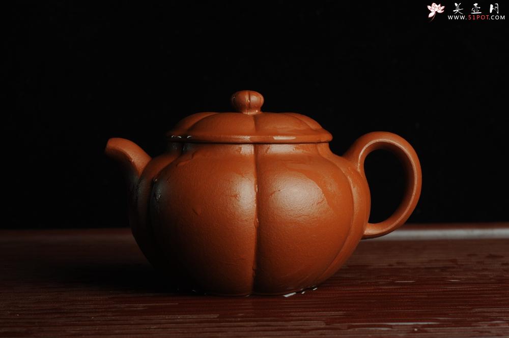 紫砂壶图片：美壶特惠 优质朱泥筋囊器漠上花开 做工精致 仅此一只 - 美壶网