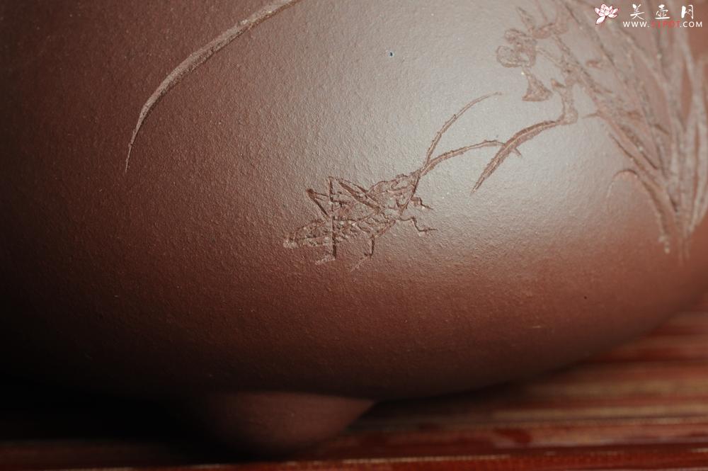 紫砂壶图片：美壶特惠 经典平盖小石瓢 满瓢（景舟石瓢）装饰兰花 泥料超好高档包装 做工灰常精致 - 美壶网