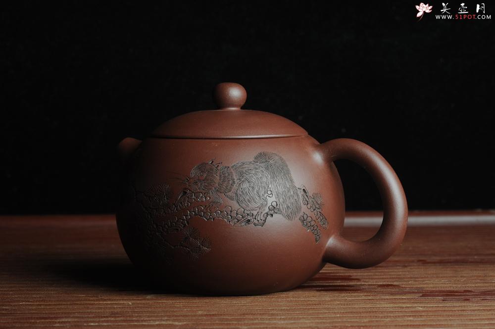 紫砂壶图片：美壶福利特惠 精工西施 精刻松鼠 - 美壶网