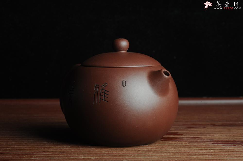 紫砂壶图片：美壶福利特惠 精工西施 精刻松鼠 - 美壶网