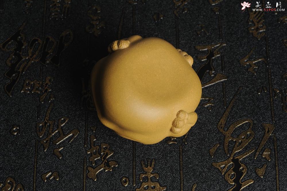 紫砂壶图片：美宠特惠 紫砂金蟾貔貅 镇宅 神态细腻 做工灰常精致 手工茶宠 - 美壶网