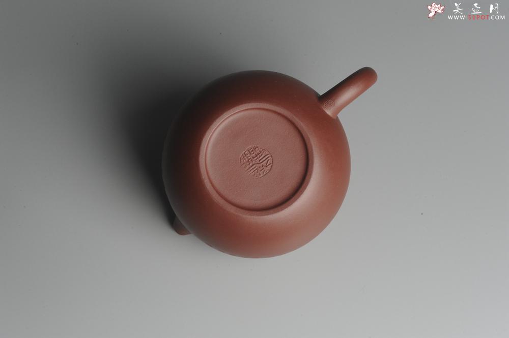 紫砂壶图片：美壶福利特惠 精工心经西施 饱满圆润 陈俊儒即兴装饰 - 美壶网