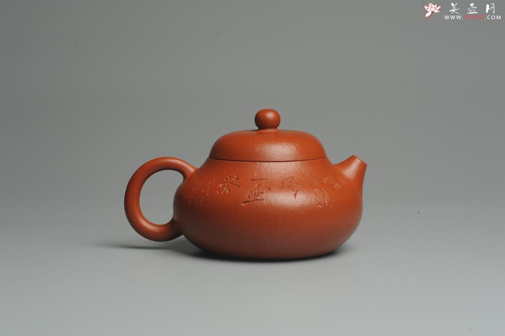 紫砂壶图片：优质赵庄朱泥全手工文旦 方健双刀文气装饰 - 美壶网