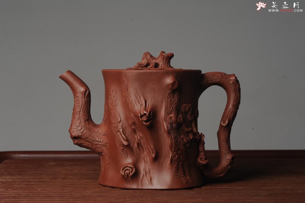 紫砂壶图片：实力派全手工松桩 气质非凡 肌理自然生动 适合收藏 - 美壶网