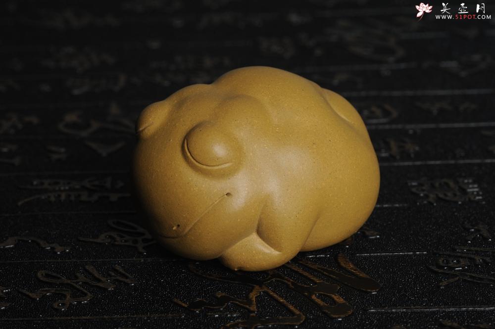 紫砂壶图片：美宠特惠 油润黄金段萌萌蛤蟆茶宠 做工超精致 长6.5cm宽5.5cm高4cm - 美壶网