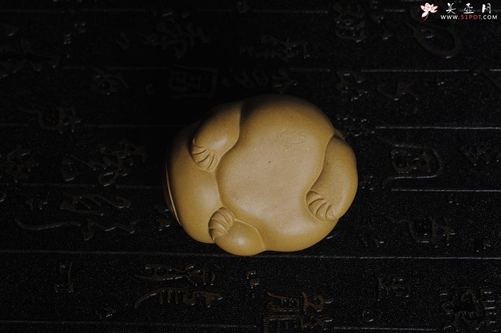 紫砂壶图片：美宠特惠 油润黄金段萌萌蛤蟆茶宠 做工超精致 长6.5cm宽5.5cm高4cm - 美壶网