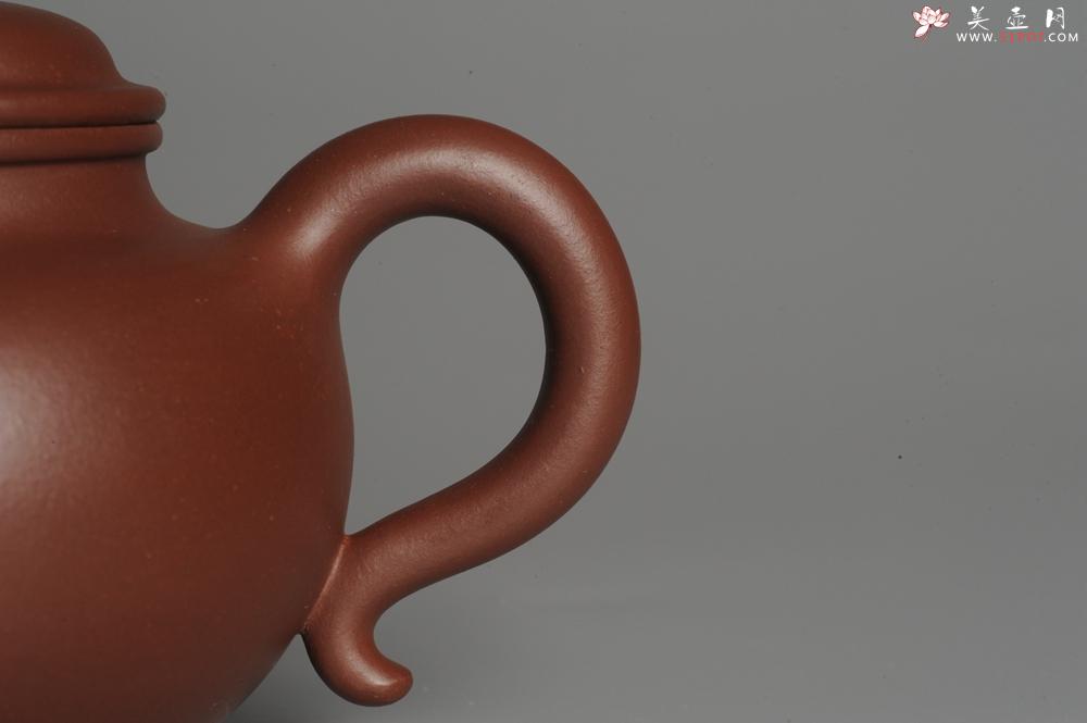 紫砂壶图片：实力派杨欣橙老师全手工大亨莲子 本色清水泥 深得老味 古韵悠悠 - 美壶网