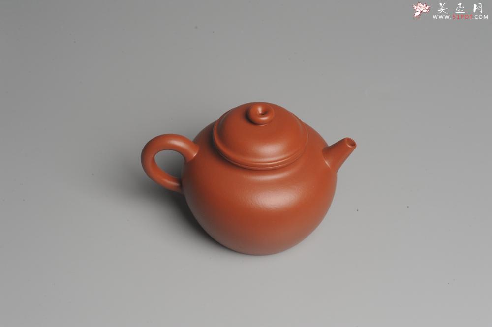 紫砂壶图片：美壶特惠 非铁红色素泥 优质朱泥大彬圈钮 - 美壶网