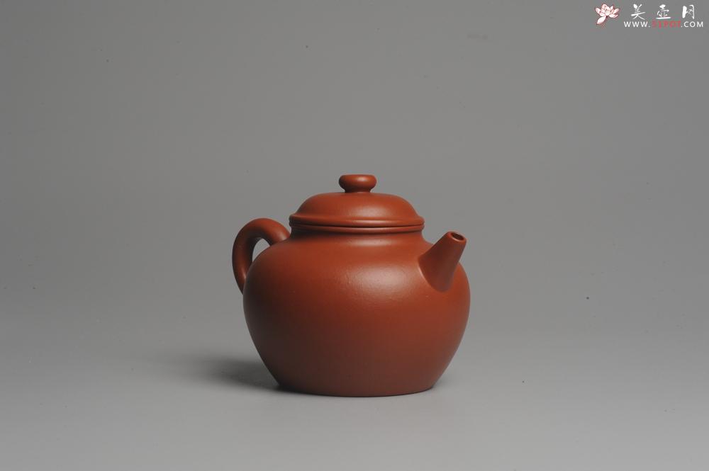紫砂壶图片：美壶特惠 非铁红色素泥 优质朱泥大彬圈钮 - 美壶网