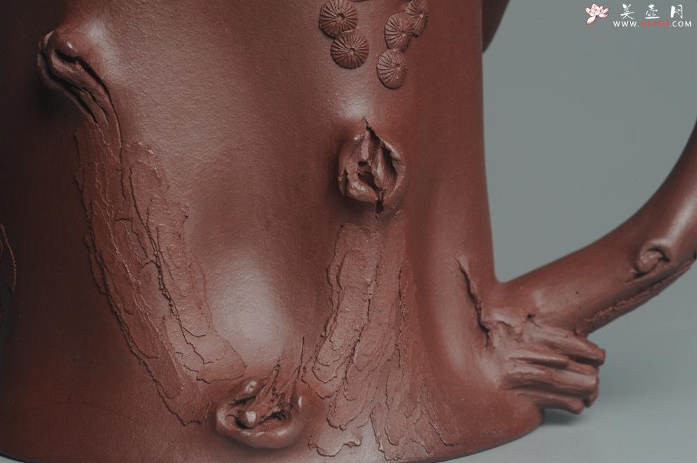 紫砂壶图片:实力派全手工木棉松桩 气质非凡 肌理自然生动 难度大 - 美壶网