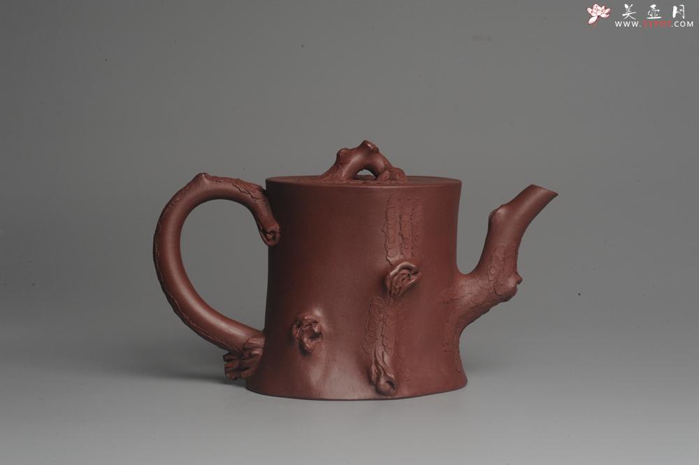 紫砂壶图片:实力派全手工木棉松桩 气质非凡 肌理自然生动 难度大 - 美壶网