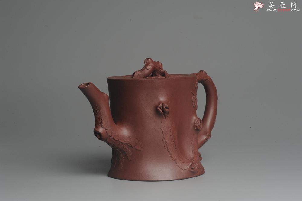 紫砂壶图片:实力派全手工木棉松桩 气质非凡 肌理自然生动 难度大 - 美壶网