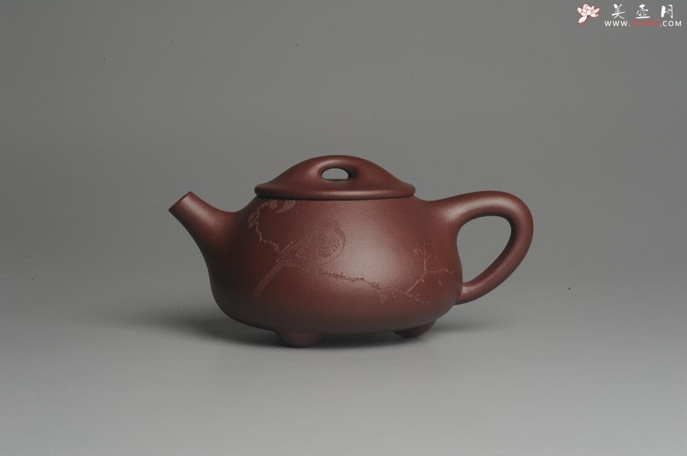 紫砂壶图片：美壶特惠 经典平盖小石瓢 满瓢（景舟石瓢）子木刻绘枯枝鸟 - 美壶网