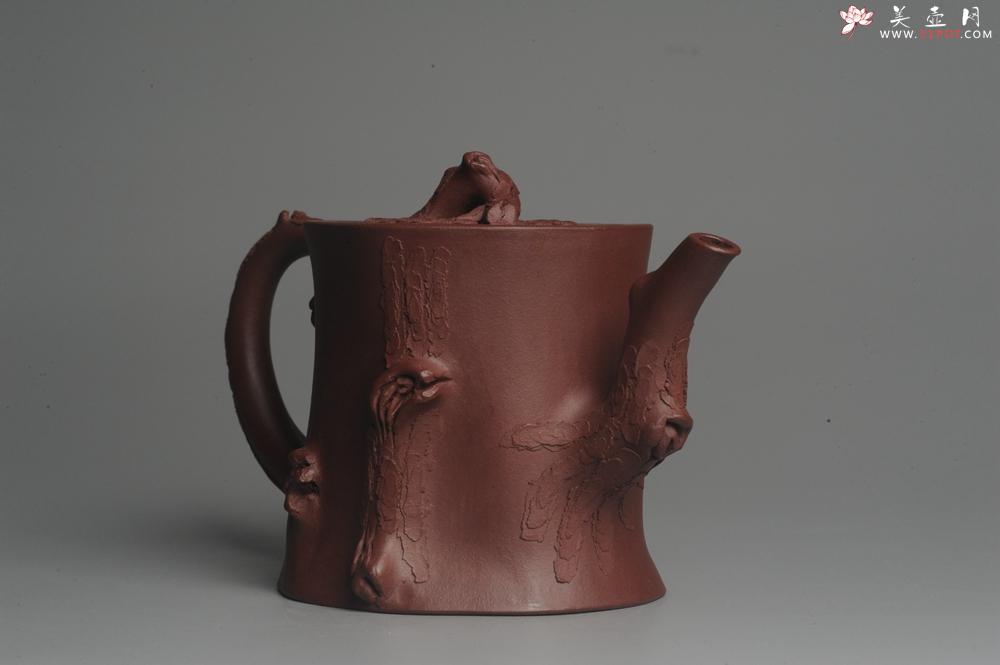 紫砂壶图片:实力派全手工木棉松桩 气质非凡 肌理自然生动 难度大 - 美壶网