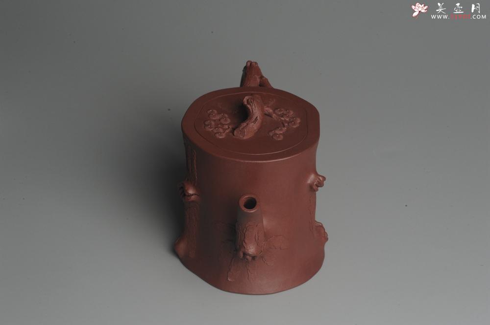 紫砂壶图片:实力派全手工木棉松桩 气质非凡 肌理自然生动 难度大 - 美壶网