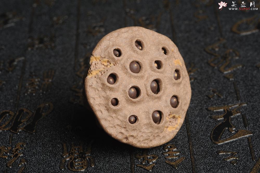 紫砂壶图片:美宠特惠 回馈壶友 精致性价比老段泥莲蓬茶宠直径5.5cm长度5.5cm左右 - 美壶网