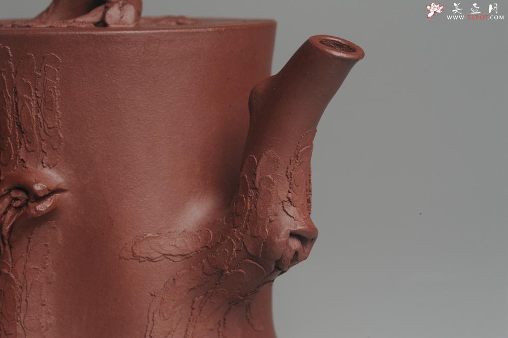 紫砂壶图片:实力派全手工木棉松桩 气质非凡 肌理自然生动 难度大 - 美壶网