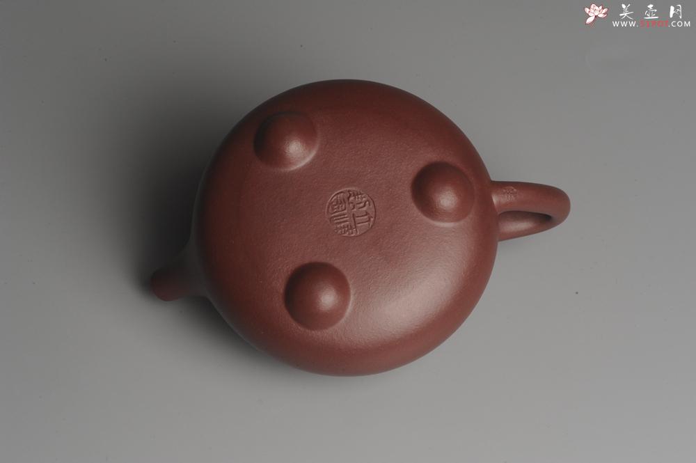 紫砂壶图片：美壶特惠 精致做工经典平盖小石瓢 精刻梅花 暗香浮动 灰常雅致 - 美壶网