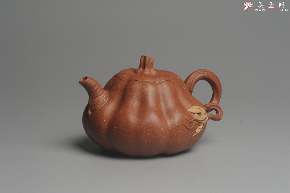 紫砂壶图片：美壶特惠 油润降坡泥精致卡盖全手工仿生小南瓜 - 美壶网
