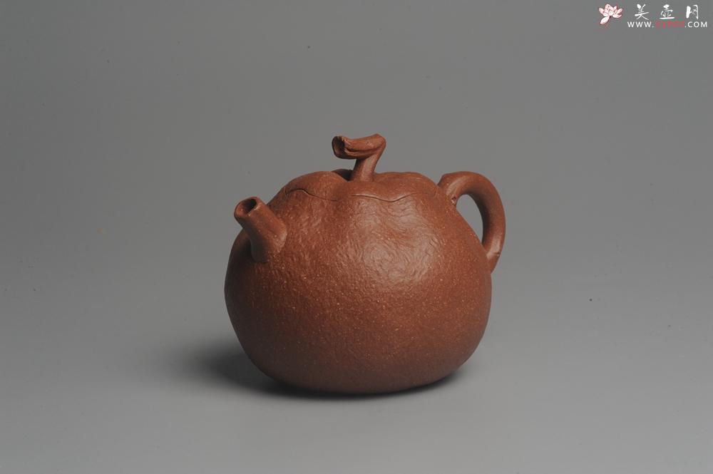 紫砂壶图片：美壶特惠 油润降坡泥精致卡盖全手工仿生丑橘壶 - 美壶网