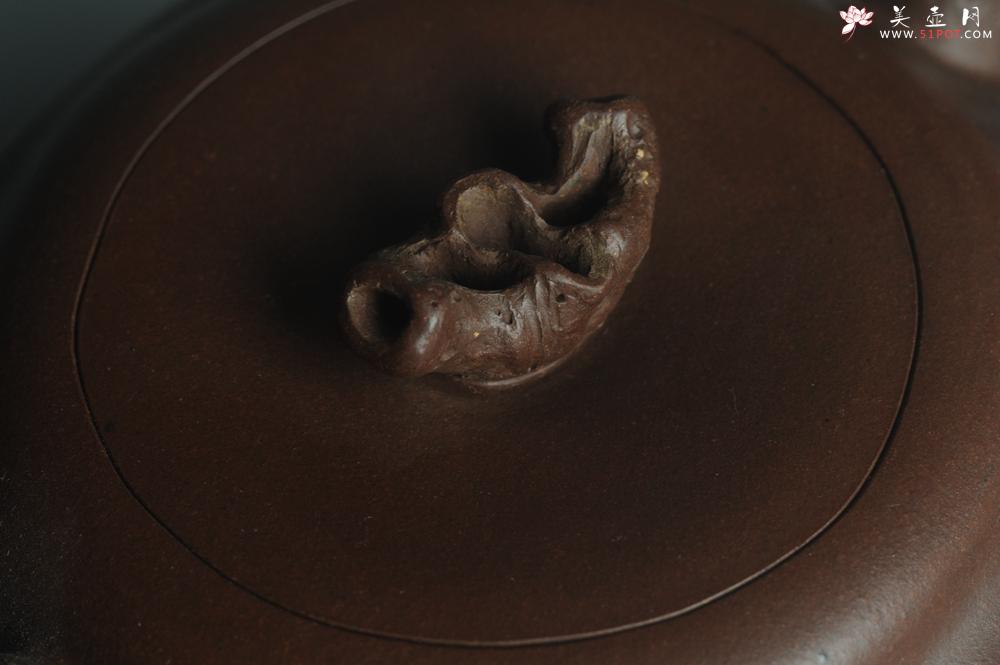 紫砂壶图片：潘丹初全手新作 道法自然 妙趣横生 原创溪竹 - 美壶网